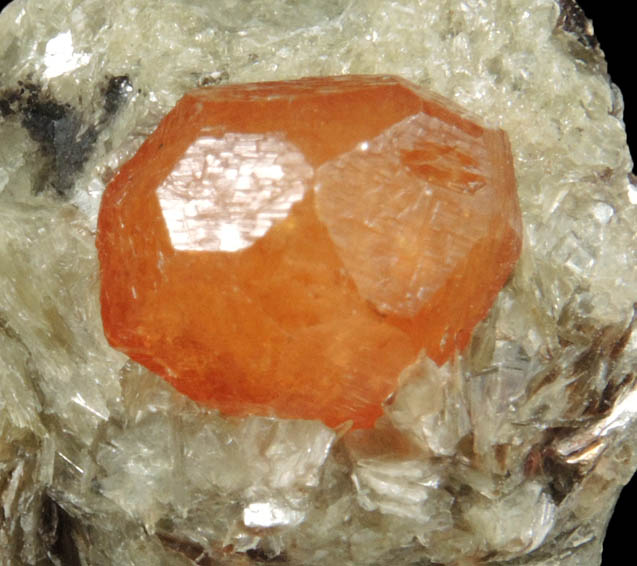 Spessartine Garnet in Muscovite from Loliondo, Mpwapwa District, Dodoma, Tanzania