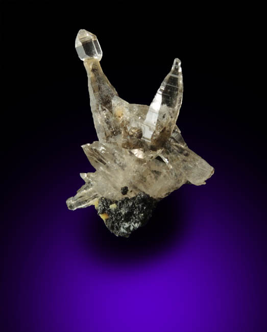 Quartz var. Tessin habit scepter from Becker Quarry, West Willington, Tolland County, Connecticut