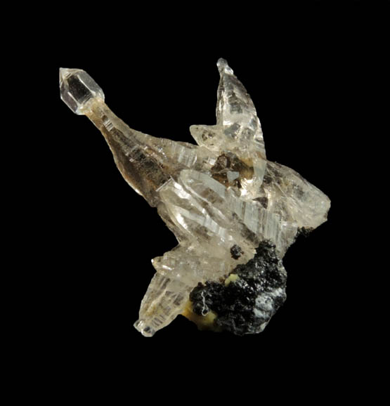 Quartz var. Tessin habit scepter from Becker Quarry, West Willington, Tolland County, Connecticut