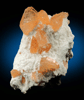 Heulandite on Mordenite from Aurangabad, Maharashtra, India