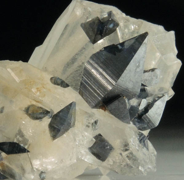 Anatase on Quartz from Matskorhae, Hardangervidda, Ullensvang Statsallmenning, Hordaland, Norway