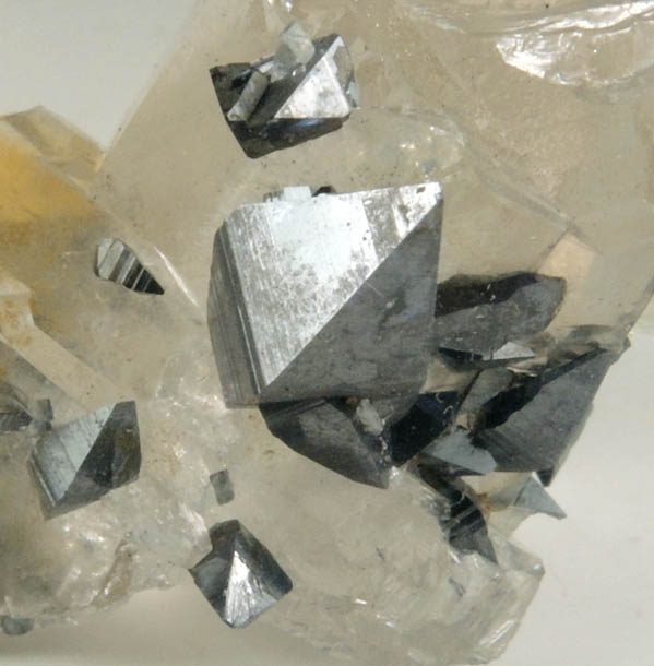 Anatase on Quartz from Matskorhae, Hardangervidda, Ullensvang Statsallmenning, Hordaland, Norway