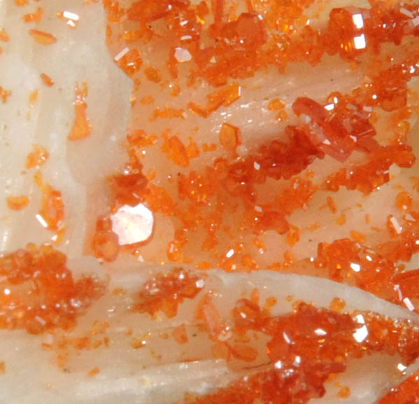 Vanadinite on Barite from Mibladen, Haute Moulouya Basin, Zeida-Aouli-Mibladen belt, Midelt Province, Morocco