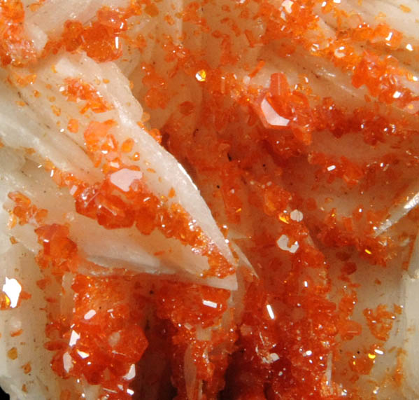 Vanadinite on Barite from Mibladen, Haute Moulouya Basin, Zeida-Aouli-Mibladen belt, Midelt Province, Morocco