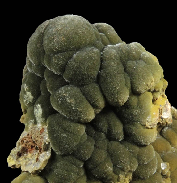 Mottramite from Mina Ojuela, Level 35, Mapimi, Durango, Mexico