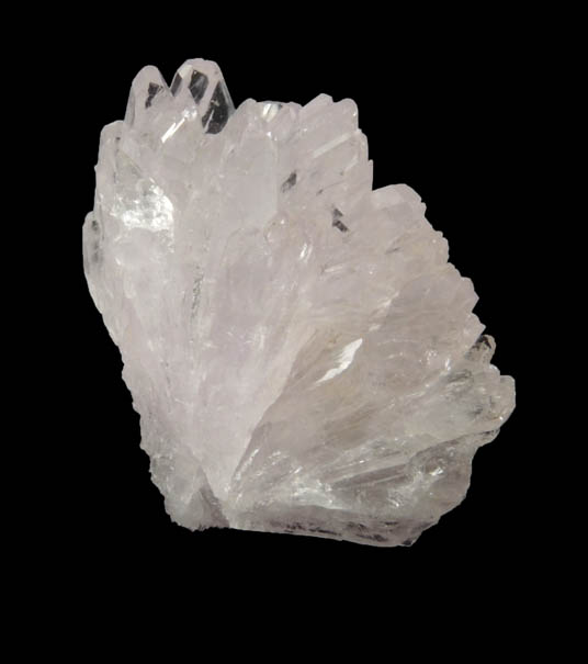 Creedite from Santa Eulalia District, Aquiles Serdn, Chihuahua, Mexico