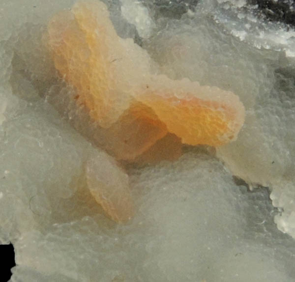 Wulfenite with Hemimorphite coating from Finch Mine, north of Hayden, Banner District, Gila County, Arizona