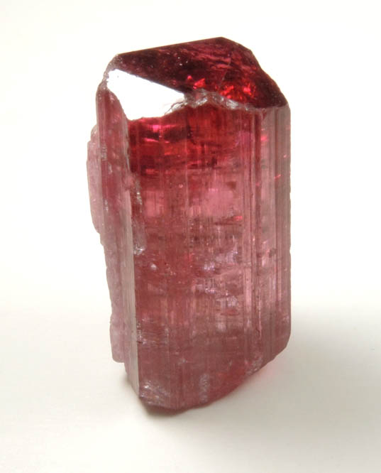 Elbaite var. Rubellite Tourmaline from Cruzeiro Mine, So Jose da Safira, Minas Gerais, Brazil