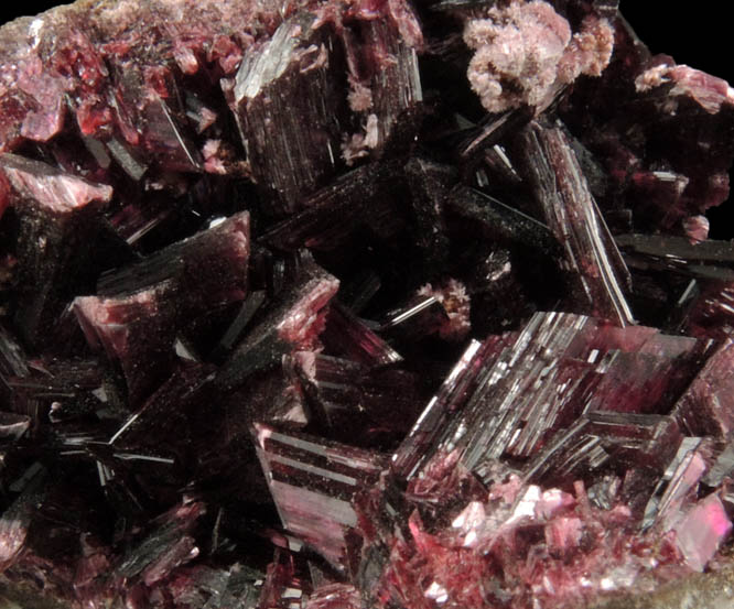 Erythrite from Bou Azzer District, Anti-Atlas Mountains, Tazenakht, Ouarzazate, Morocco (Type Locality for Erythrite)