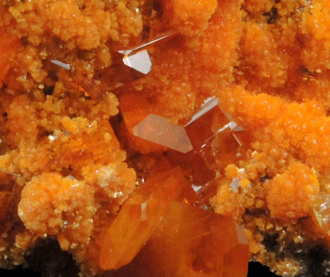 Wulfenite with Mimetite from Rowley Mine, 20 km northwest of Theba, Painted Rock Mountains, Maricopa County, Arizona