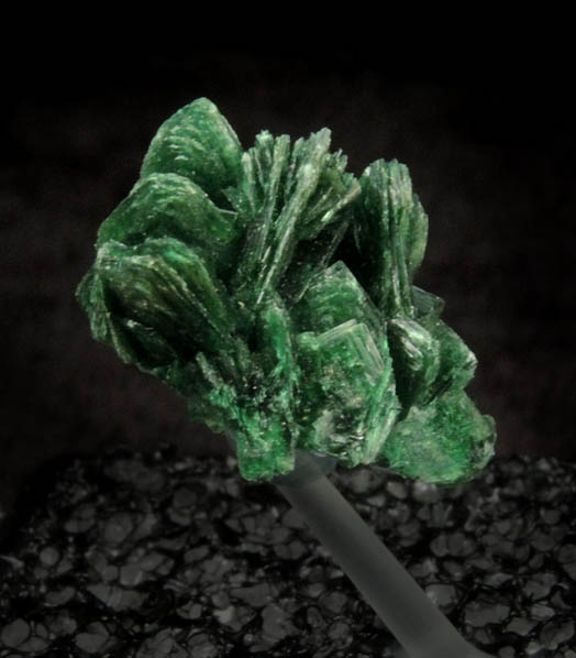 Torbernite from Shinkolobwe Mine, 22 km WSW of Likasi, Katanga Copperbelt, Haut-Katanga Province, Democratic Republic of the Congo