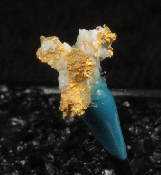 Gold (native gold) in Quartz from Mother Lode Gold Belt, Amador County, California