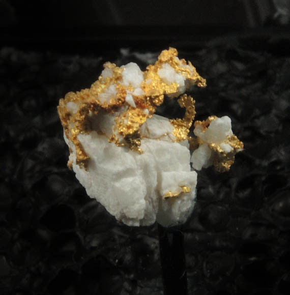 Gold (native gold) in Quartz from Jamestown Mining District, Tuolumne County, California