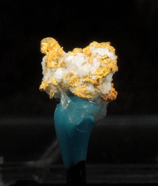 Gold (native gold) in Quartz from Mother Lode Gold Belt, Amador County, California