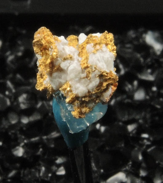 Gold (native gold) in Quartz from Mother Lode Gold Belt, Amador County, California
