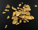 Gold (native gold) nuggets from near Seward, Kenai Peninsula, Alaska