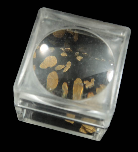 Gold (native gold) nuggets from near Seward, Kenai Peninsula, Alaska