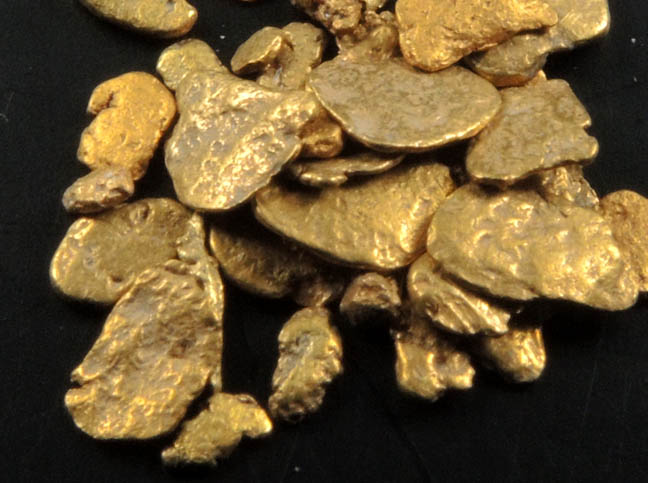 Gold (native gold) nuggets from near Seward, Kenai Peninsula, Alaska