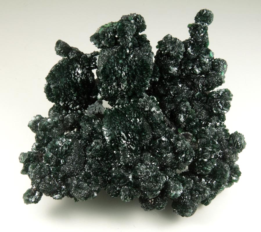 Zincolivenite from Milpillas Mine, Cuitaca, Sonora, Mexico