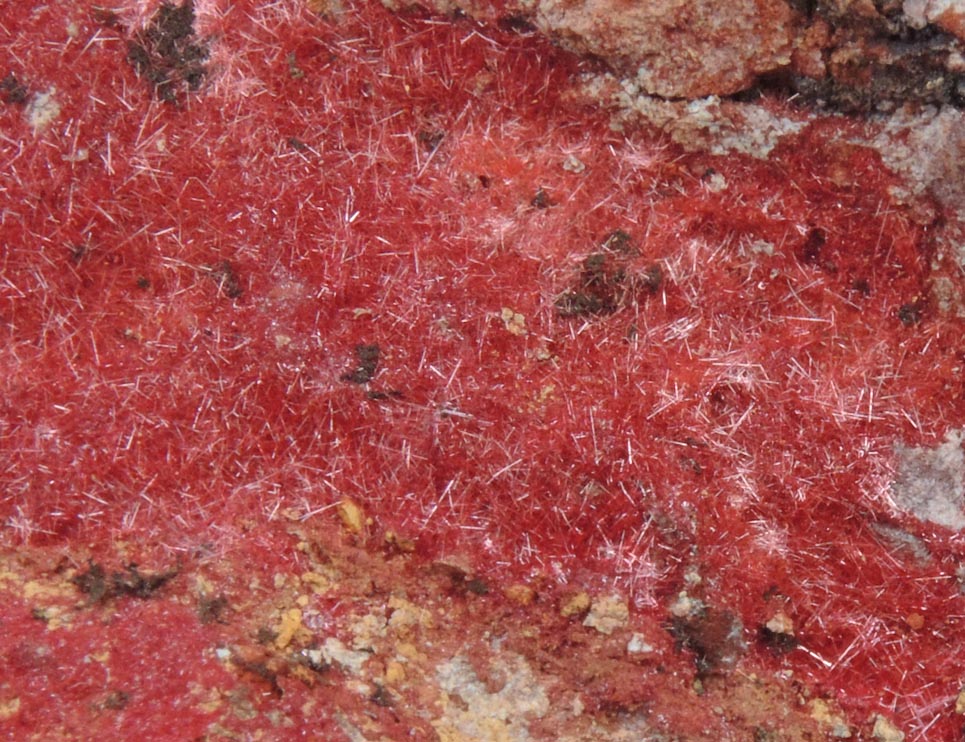 Cuprite var. Chalcotrichite from Bisbee, Warren District, Cochise County, Arizona