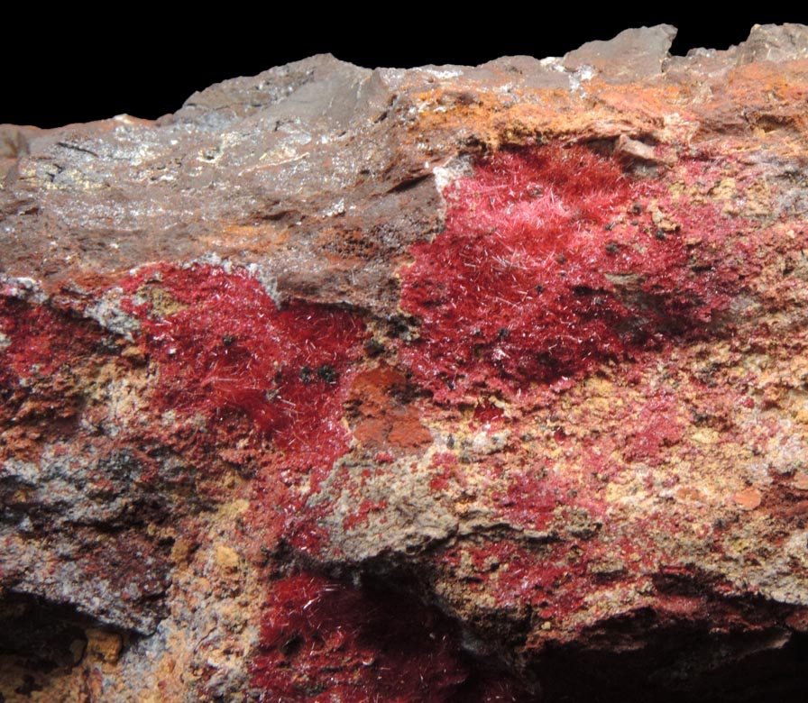 Cuprite var. Chalcotrichite from Bisbee, Warren District, Cochise County, Arizona