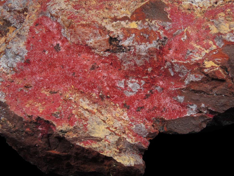 Cuprite var. Chalcotrichite from Bisbee, Warren District, Cochise County, Arizona