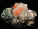 Mesolite on Heulandite from Deshgaon, Khandwa District, Madhya Pradesh, India