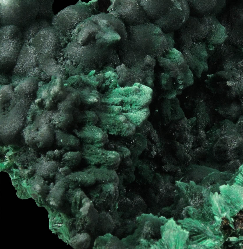 Malachite (fibrous form) from Mindingi, 60 km W of Likasi, Katanga Copperbelt, Lualaba Province, Democratic Republic of the Congo