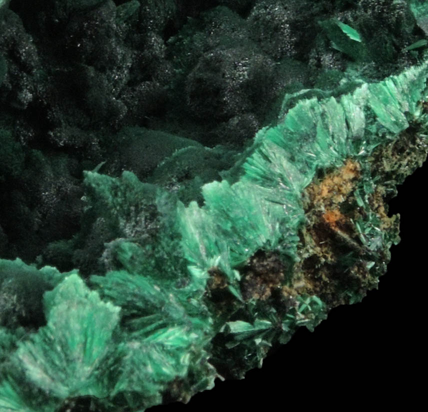 Malachite (fibrous form) from Mindingi, 60 km W of Likasi, Katanga Copperbelt, Lualaba Province, Democratic Republic of the Congo