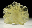 Chrysoberyl (sixling-twinned crystals) from Miakanjovato, near Lake Alaotra, northeast of Ambatosoratra, Madagascar
