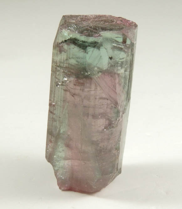 Elbaite var Watermelon Tourmaline from Pederneira Mine, Sao Jose da Safira, Minas Gerais, Brazil