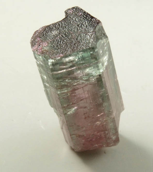 Elbaite var Watermelon Tourmaline from Pederneira Mine, Sao Jose da Safira, Minas Gerais, Brazil