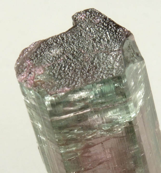 Elbaite var Watermelon Tourmaline from Pederneira Mine, Sao Jose da Safira, Minas Gerais, Brazil