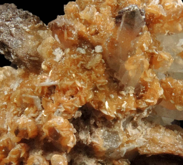 Siderite on Quartz from Prbram, Central Bohemia, Czech Republic