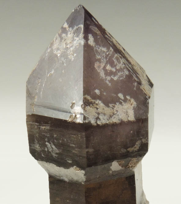 Quartz var. Amethyst-Smoky (scepter-shaped formation) from Ossipee Gulch (Raccoon Gulch), Folsom Brook, Center Ossipee, Carroll County, New Hampshire