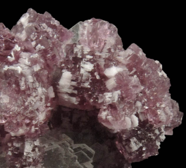 Lepidolite and Elbaite Tourmaline on Albite from Pederneira Mine, Sao Jose da Safira, Minas Gerais, Brazil