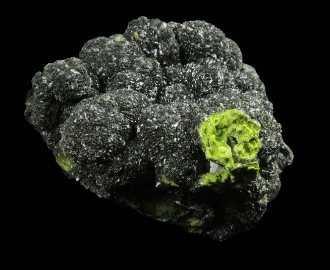 Mottramite from Tsumeb Mine, Otavi-Bergland District, Oshikoto, Namibia