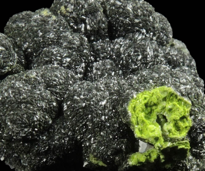 Mottramite from Tsumeb Mine, Otavi-Bergland District, Oshikoto, Namibia