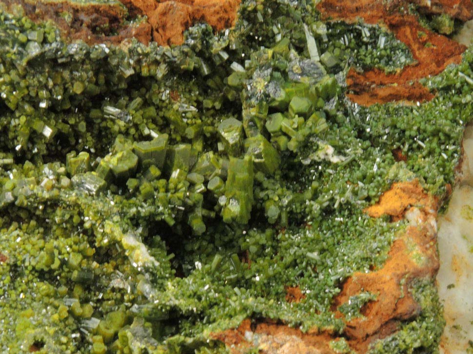 Pyromorphite from Wheatley Mine, Phoenixville, Chester County, Pennsylvania