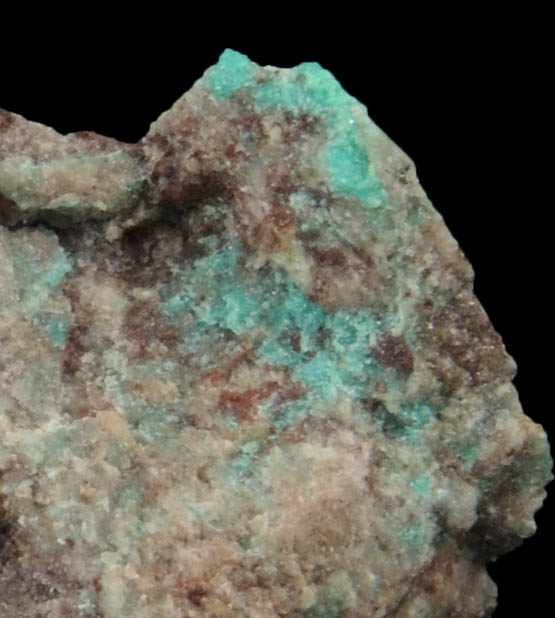 Ajoite from New Cornelia Mine, Ajo, Pima County, Arizona (Type Locality for Ajoite)