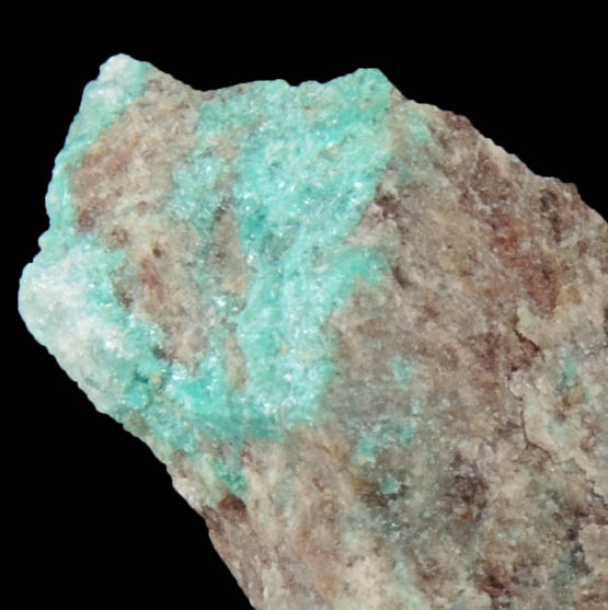 Ajoite from New Cornelia Mine, Ajo, Pima County, Arizona (Type Locality for Ajoite)