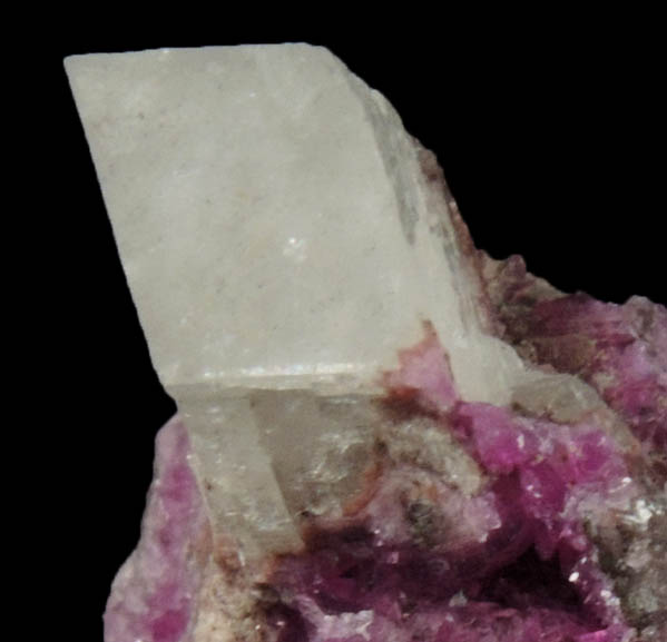 Calcite on Dolomite var. Cobaltian Dolomite from Kakanda Mine, 150 km NW of Lubumbashi, Katanga Copperbelt, Lualaba Province, Democratic Republic of the Congo