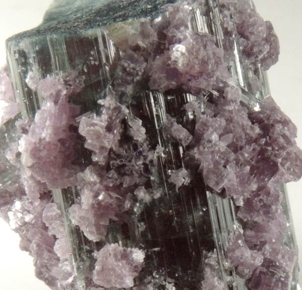 Lepidolite over Elbaite Tourmaline from Pederneira Mine, Sao Jose da Safira, Minas Gerais, Brazil