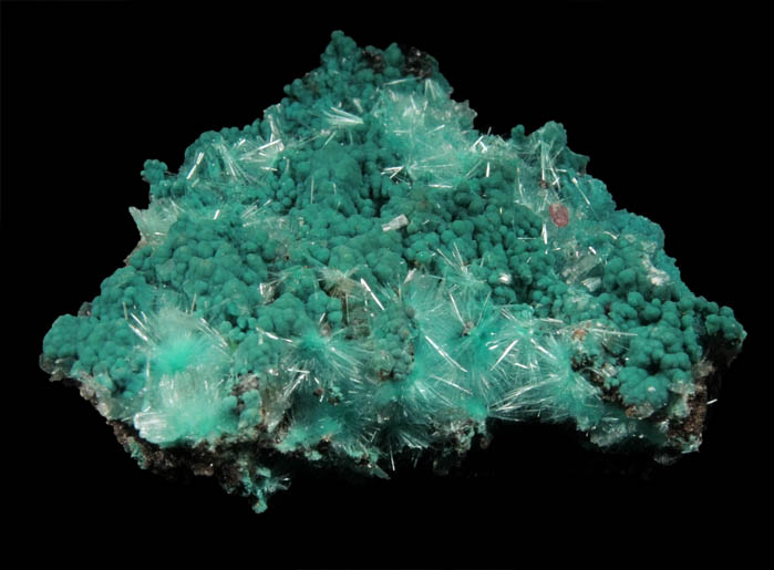 Rosasite with Aurichalcite from 79 Mine, Banner District, near Hayden, Gila County, Arizona