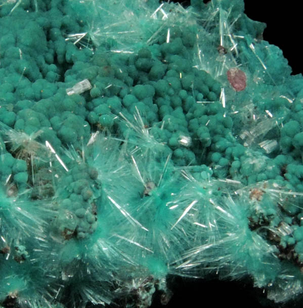 Rosasite with Aurichalcite from 79 Mine, Banner District, near Hayden, Gila County, Arizona