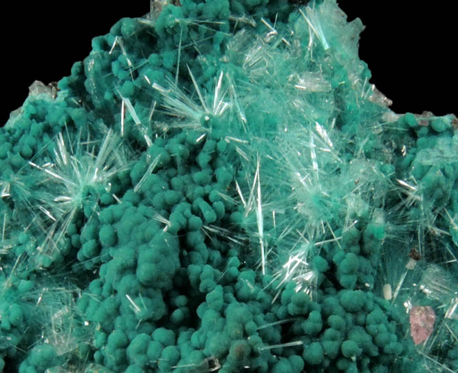 Rosasite with Aurichalcite from 79 Mine, Banner District, near Hayden, Gila County, Arizona