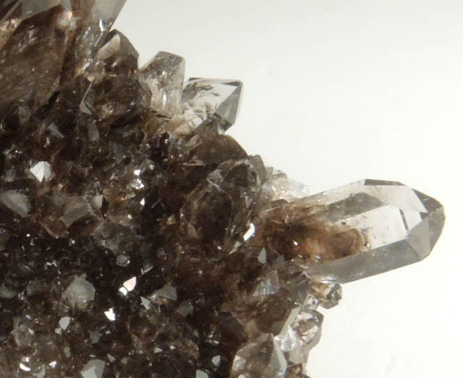 Quartz var. Smoky Herkimer Diamonds from Middleville, Herkimer County, New York