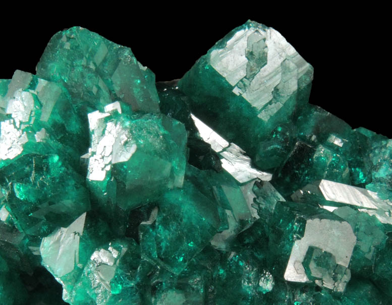 Dioptase from Altyn-Tyube, 66 km east of Karagandy, Karaganda Oblast', Kazakhstan (Type Locality for Dioptase)