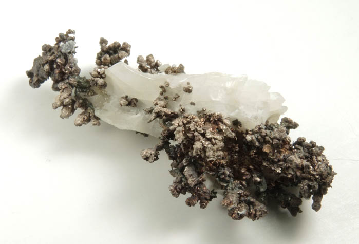 Silver in Calcite from Andres del Rio District, Batopilas, Chihuahua, Mexico