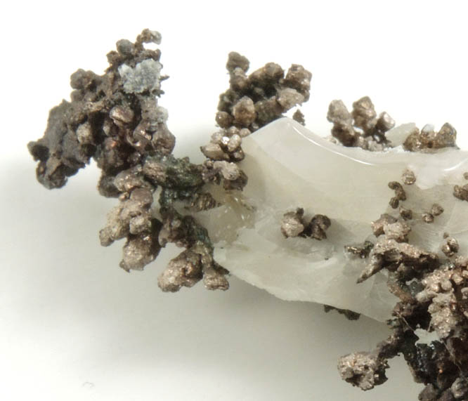 Silver in Calcite from Andres del Rio District, Batopilas, Chihuahua, Mexico